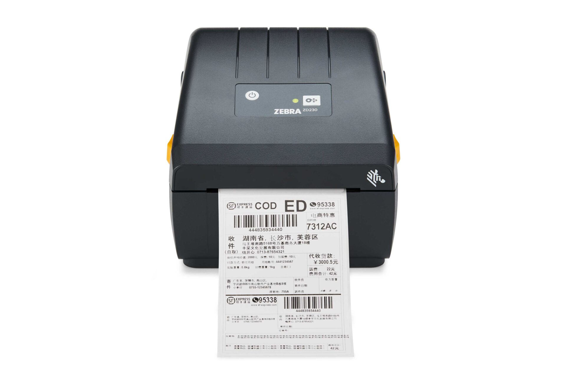 Zebra ZD230 – ujęcie z przodu z załadowanym materiałem